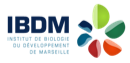 IBDML