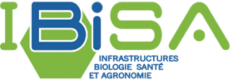 ibisa